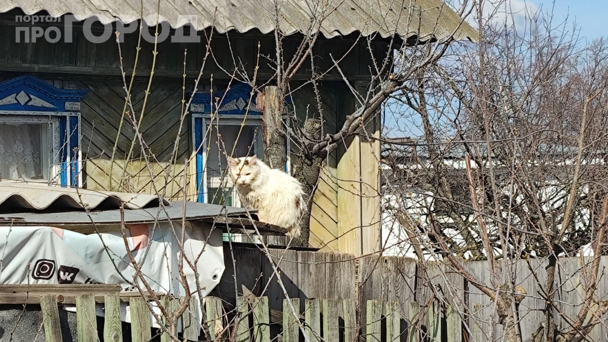 10 мая — сложный день: что нельзя делать на Семена‑Ранопашца, чтобы не потерять деньги и удачу