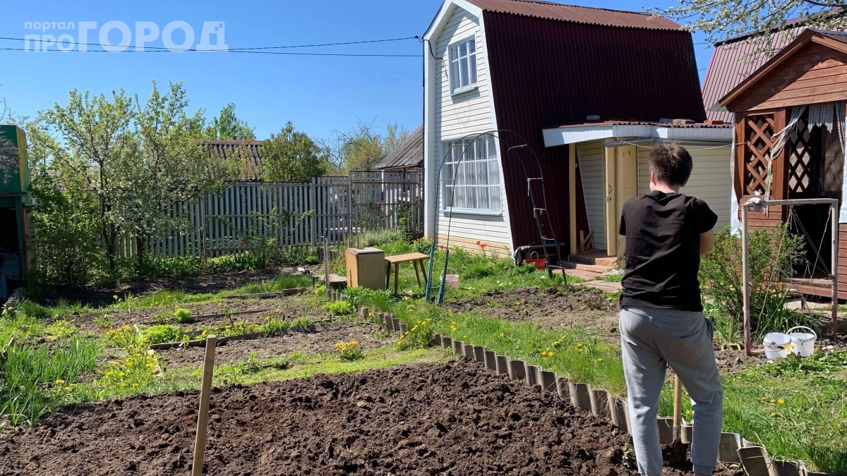 Начинаю обработку в мае — клещи обходят мой участок стороной: 5 действий, которые защитят на весь сезон