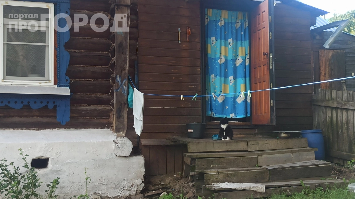 Городские только учатся, а вологодские деревни знали это 50 лет назад: секреты экономии, которые снова в моде