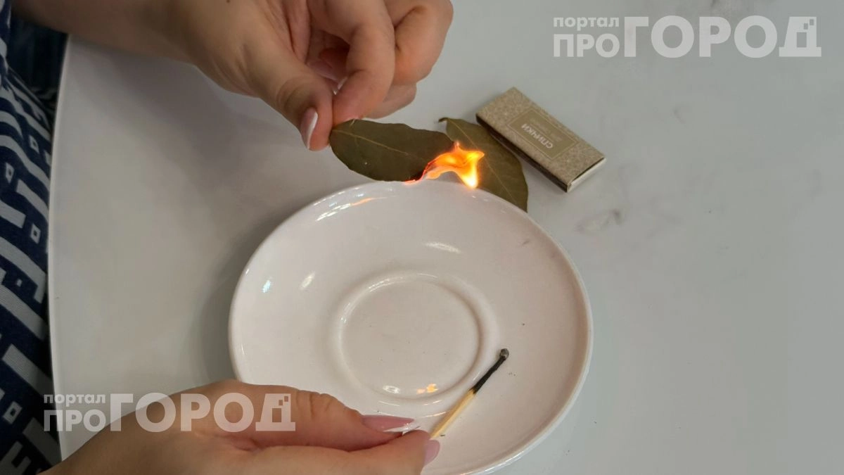 Поджигаю лавровый лист в спальне перед сном: простой ритуал, который помогает быстрее снять стресс