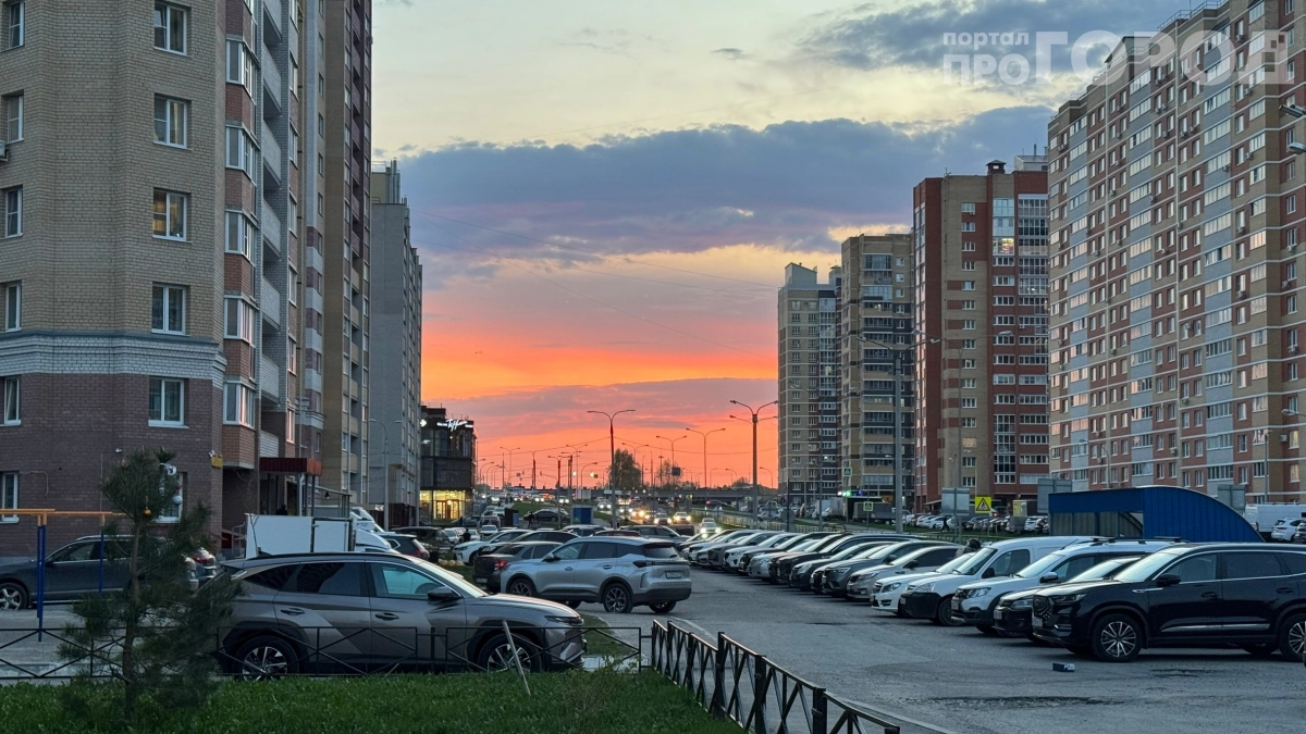Черёмуховые холода отступают: когда станет по‑летнему тепло — прогноз синоптиков