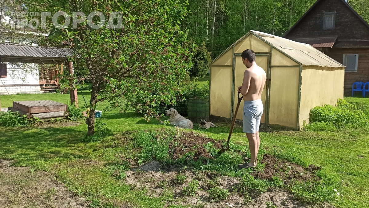 Забудьте про грядки: как я отказалась от огорода и перешла на биогрядки — что из этого вышло