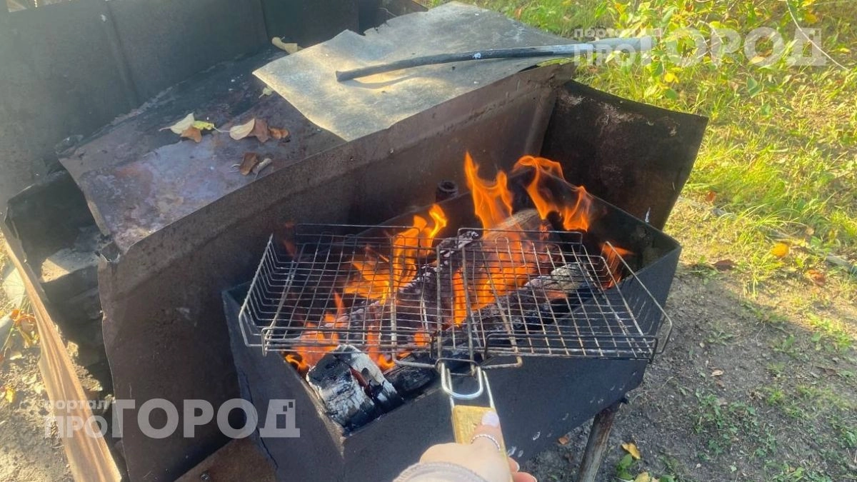 Втулки от туалетной бумаги больше не выбрасываю: они заменяют жидкость для розжига и держат жар часами