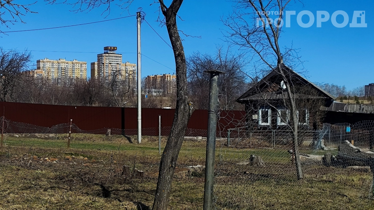 Американка увидела русскую дачу и поморщилась: почему иностранцы видят в деревне признаки бедности 