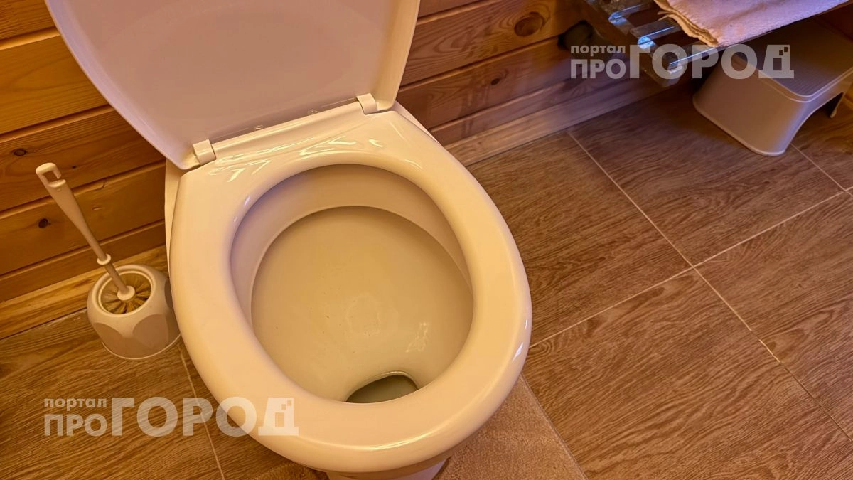 Перестаньте смывать воду с открытой крышкой: вы ежедневно превращаете свою зубную щетку в рассадник бактерий