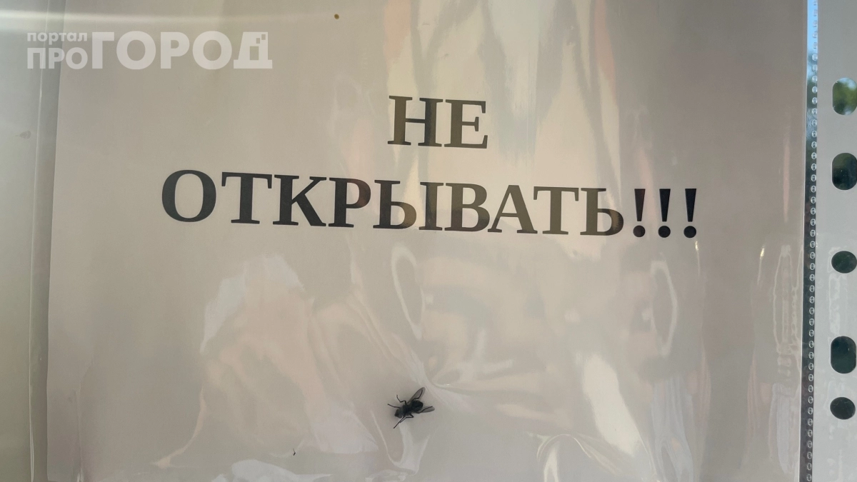 Мухи облетают дом за километр: секрет с кухни, который работает лучше фумигатора
