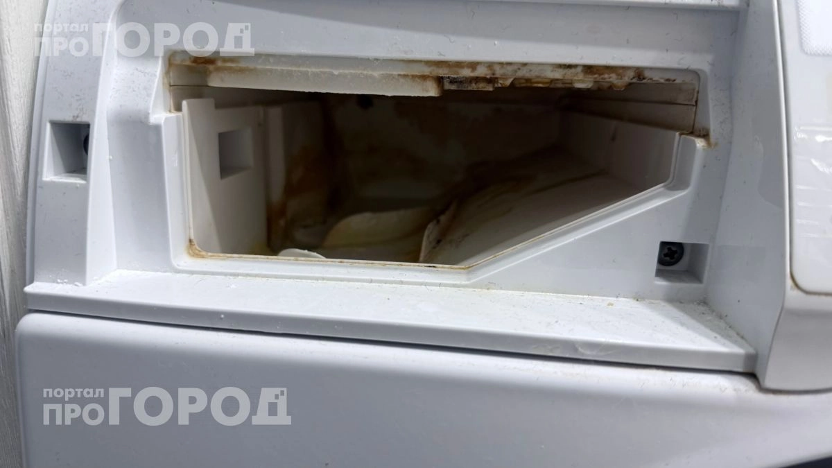 Стиральная машина пахнет сыростью: раскройте дверцу и почистите эту деталь за пять минут без химии