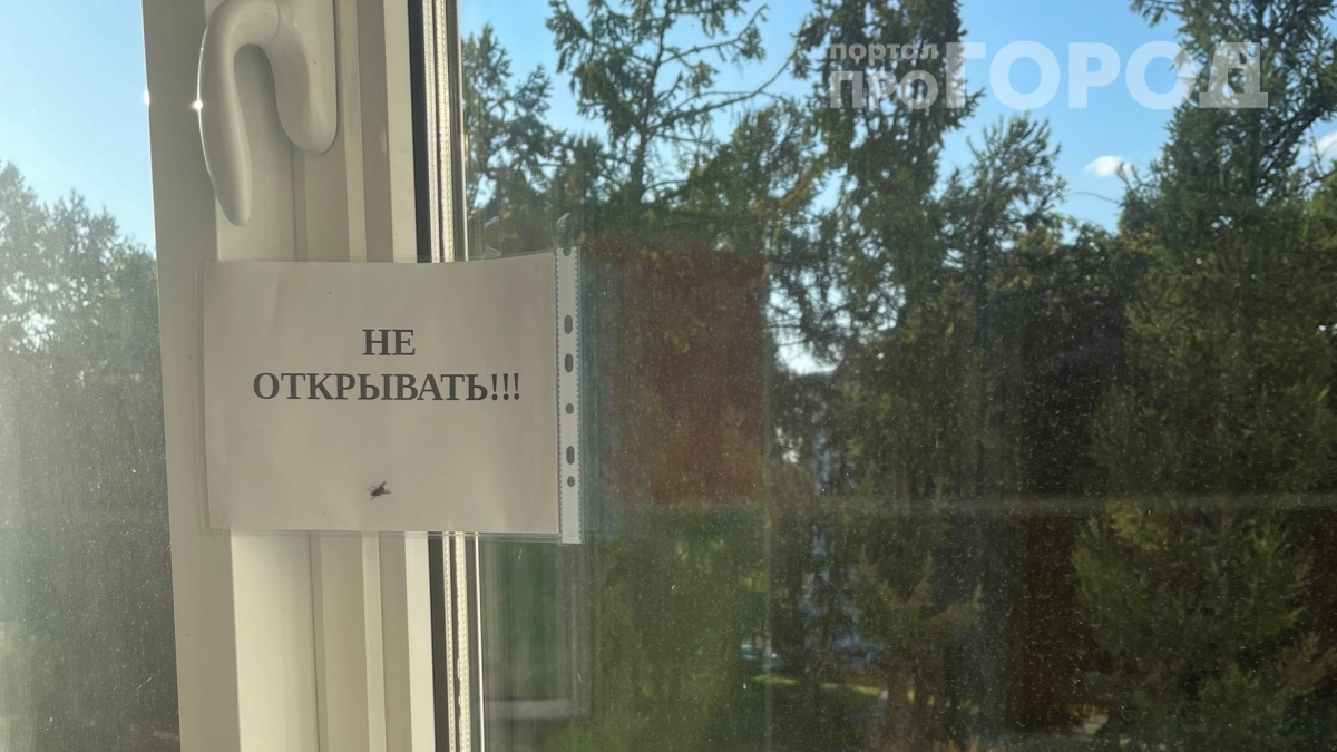 Смешайте 1:1 — и мухи забудут к вам дорогу: секрет без химии, который работает всё лето
