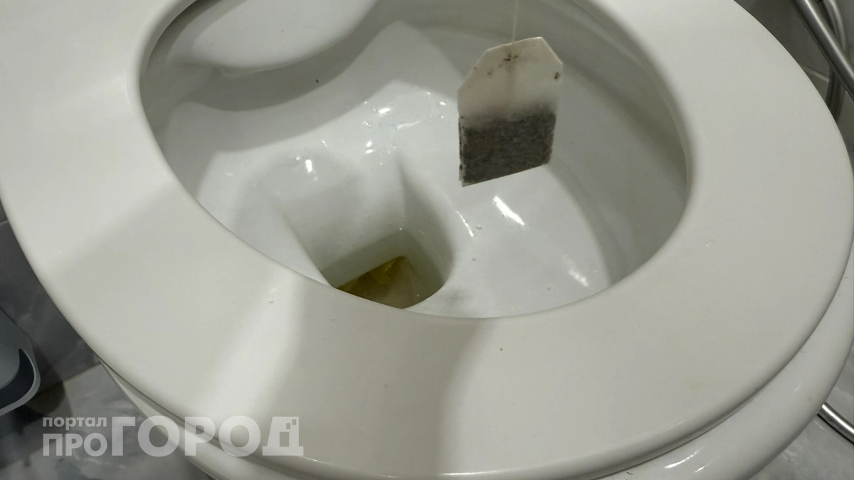 Что мы смываем в унитаз — и почему потом сантехники хватаются за голову: откровения профессионалов