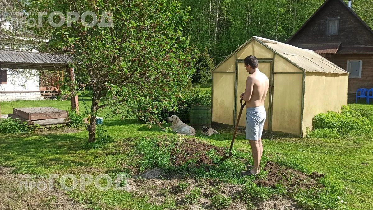 Провел тест с полотенцем на даче и ужаснулся результату: вот как за пять минут найти всех опасных клещей