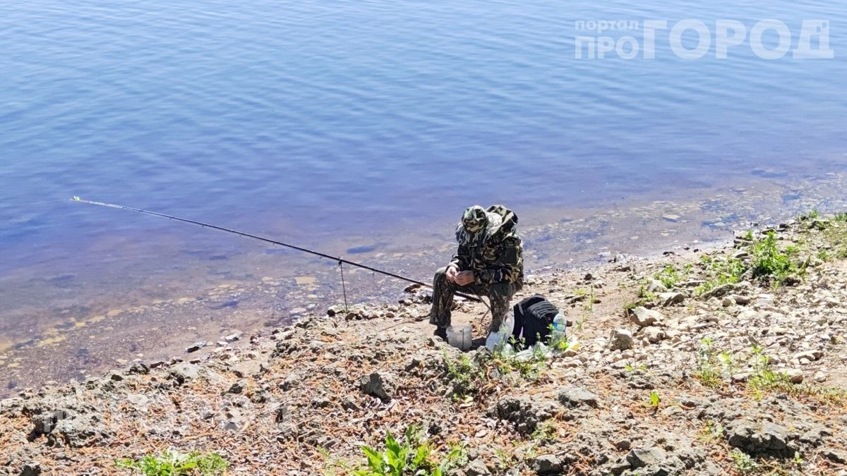 Комары забудут дорогу на ваш участок: достаточно смешать эти два дешевых продукта с кухни до выхода на улицу