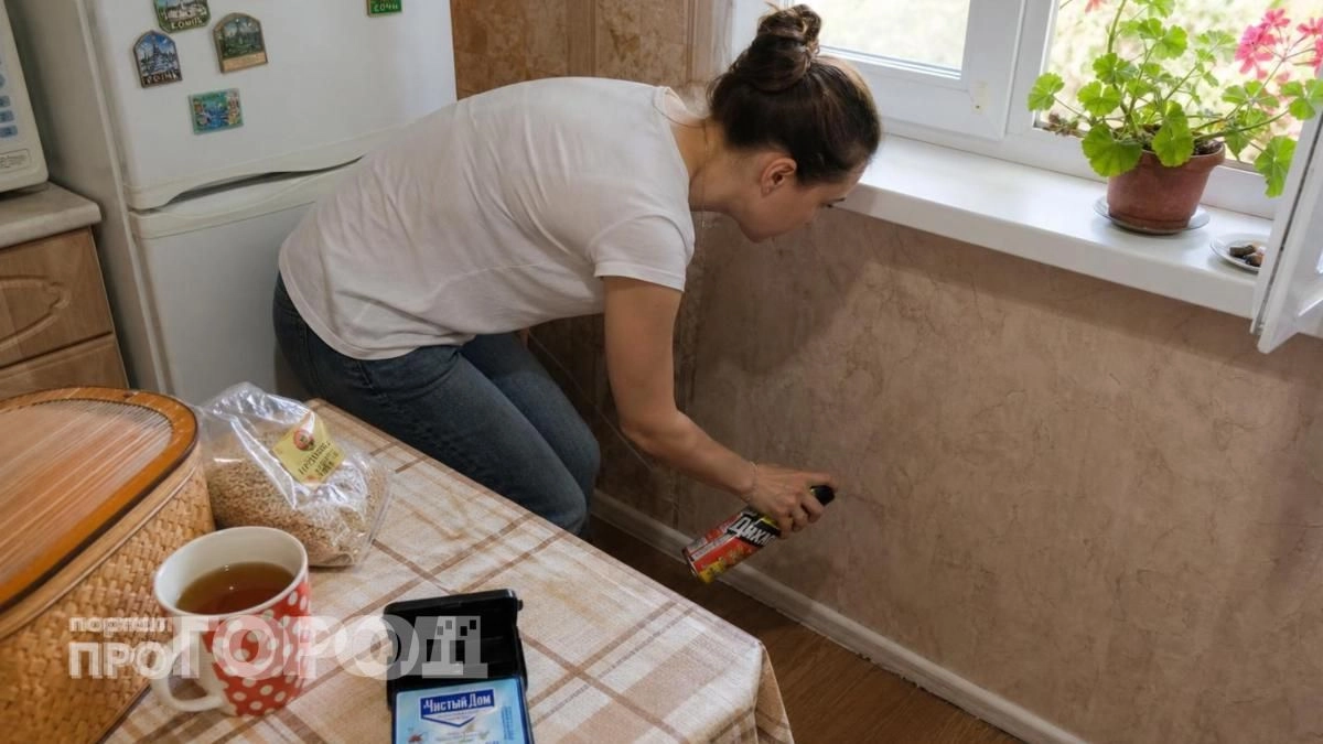 Муравьи в панике покидают дом от этого запаха: достаточно капнуть средство на ватку и оставить в углах