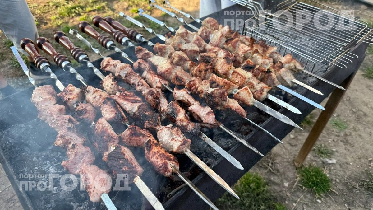 Добавляю одну горсть в угли перед жаркой мяса: теперь шашлык получается идеальным и совсем не подгорает