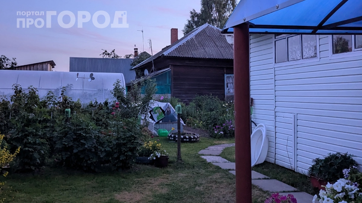 Мыши исчезли за ночь: простой способ с ведром и бутылкой — ловит сразу десяток грызунов