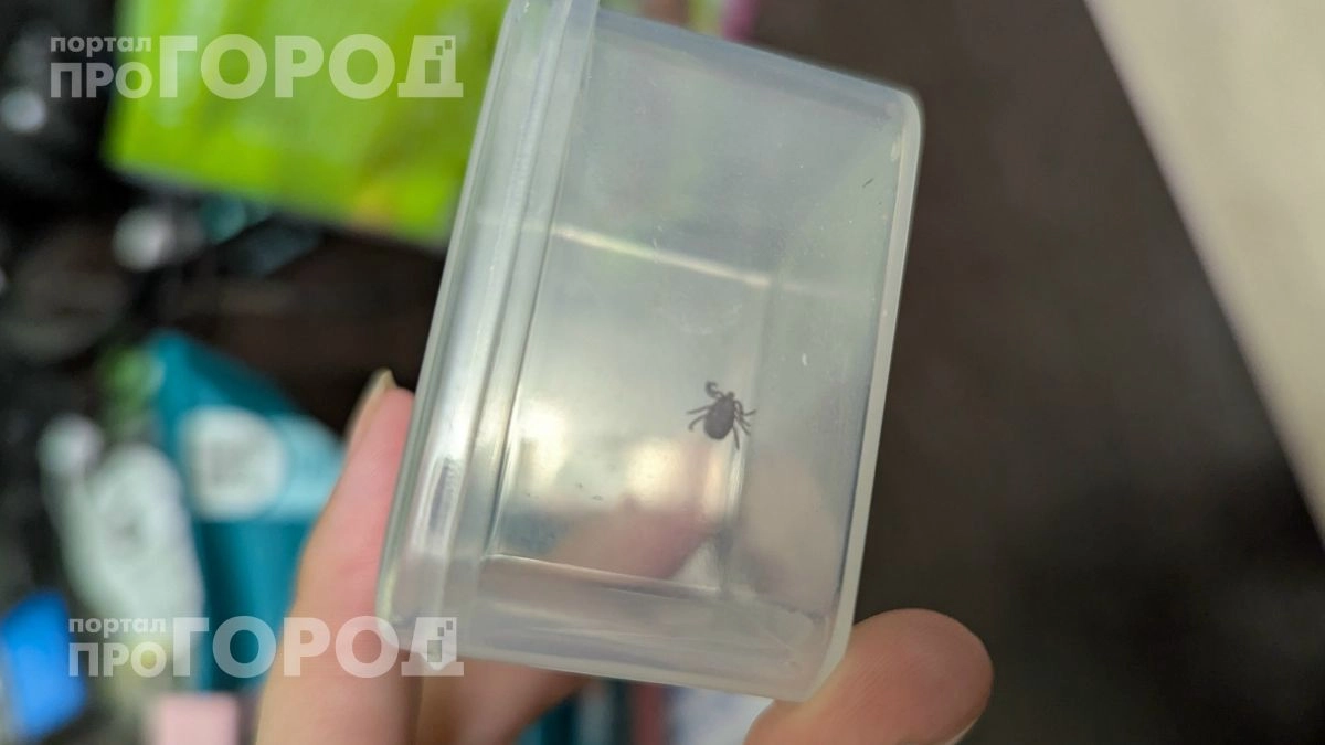 Клещи в лесу больше не страшны: всего две капли на подошву кроссовок создадут надежный барьер от паразитов