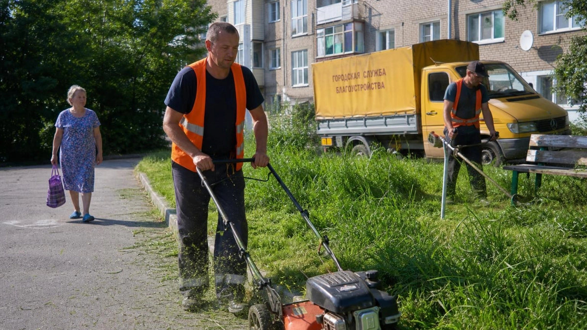 В Курске назначили ответственных за покос травы после жалоб жителей