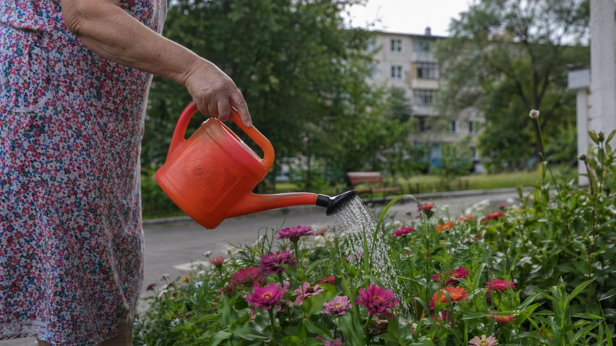 В Курской области 14 июня потеплеет до 25 градусов после ночных дождей