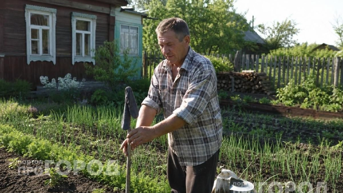 Больше никаких укусов на даче: один старый носок на палке избавляет от мошек лучше любой химии