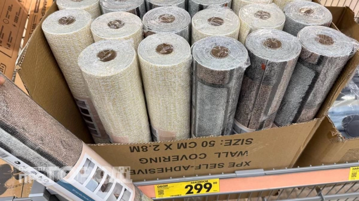 Забудьте про шпатель и клей: в Чижике нашлось решение для быстрого преображения стен всего за копейки