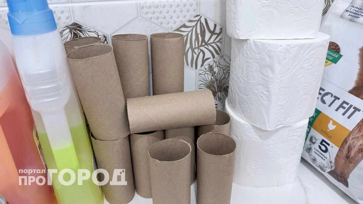 Больше не выбрасываю картонные втулки: рассказываю как их применение в саду экономит силы и деньги