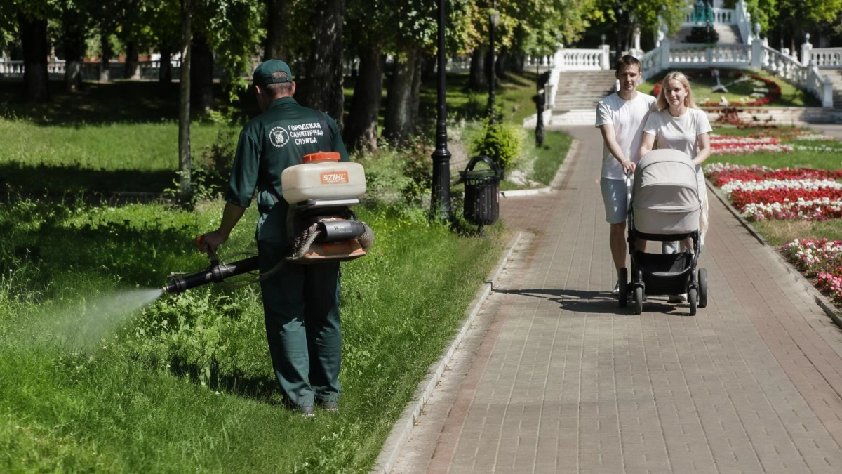 63 жителя Курской области заболели от клещей до начала сезона