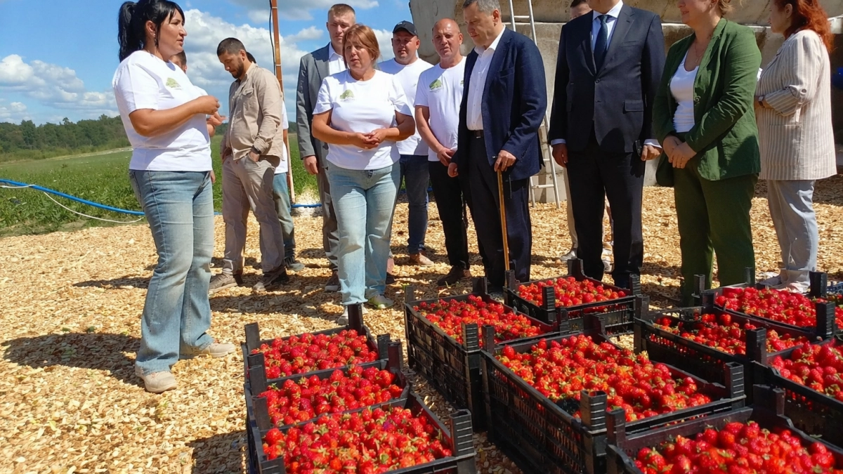 Хинштейн посетил питомник в Курском районе с садами и плантациями на 235 га