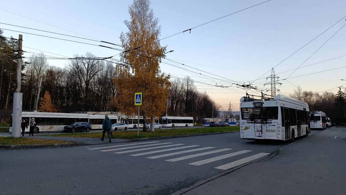 Водители массово ошибаются на зебре: Верховный Суд разъяснил новые правила проезда пешеходных переходов