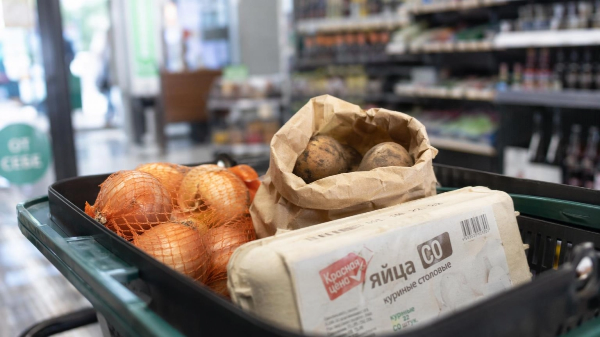 В Курской области лук и картофель резко подорожали, а яйца заметно подешевели
