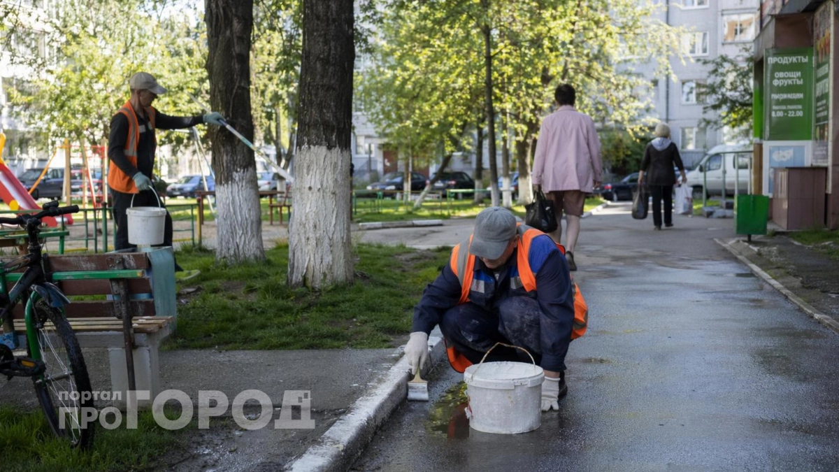 Перестаньте считать побелку деревьев пережитком прошлого: это копеечный способ защиты от вредителей и морозов