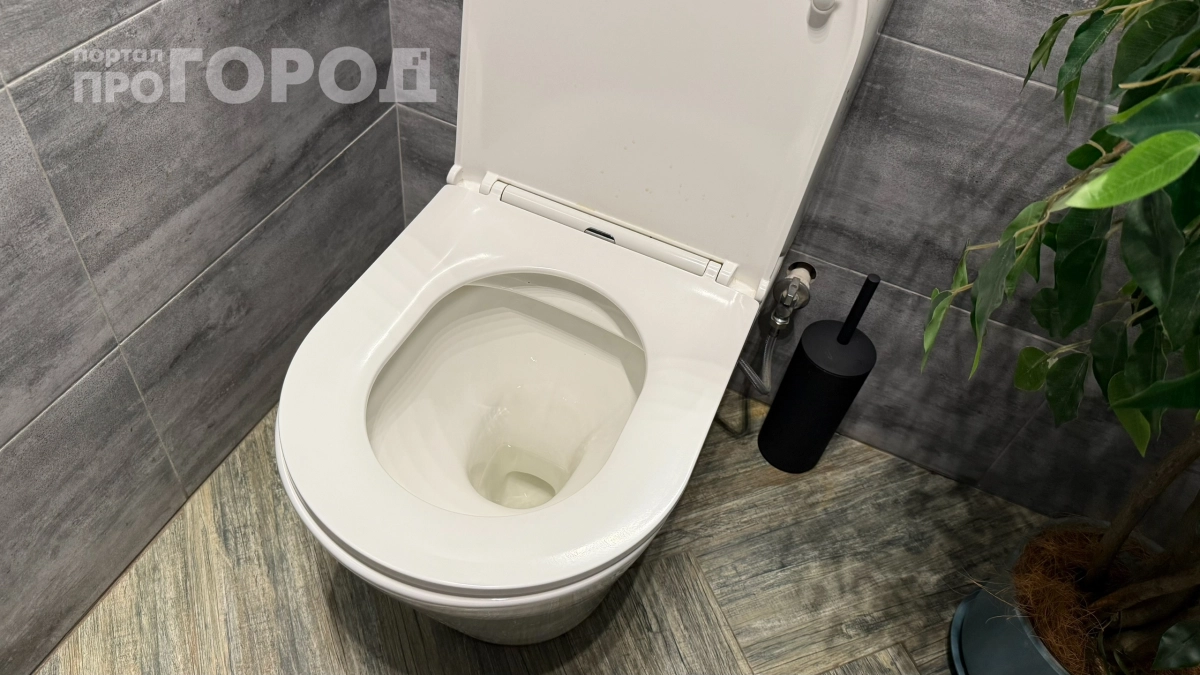 Обычные унитазы уходят в прошлое: узнайте, какой способ обустройства санузла станет стандартом в России