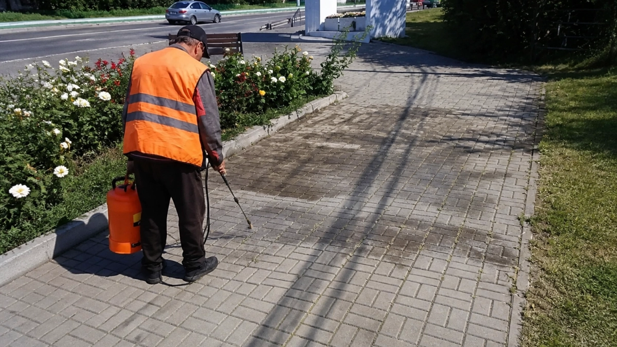 В Курске сорняки на плитке убирают гербицидами в утренние часы