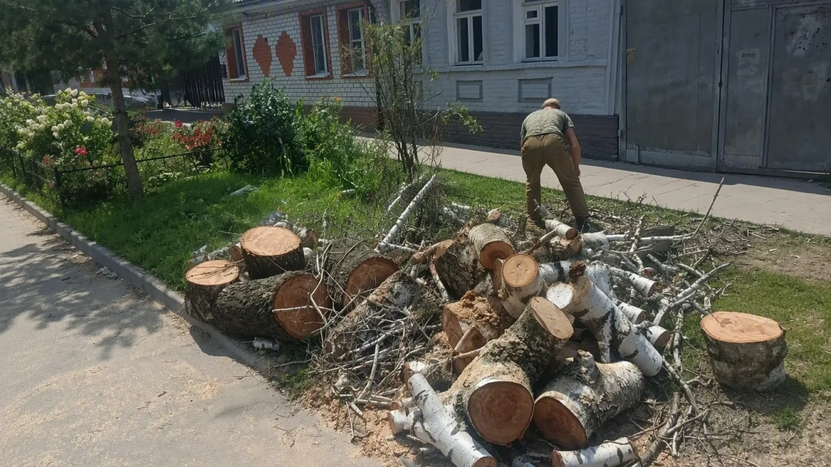 В Курске за неделю убрали 59 аварийных деревьев и вывезли 30 тонн остатков