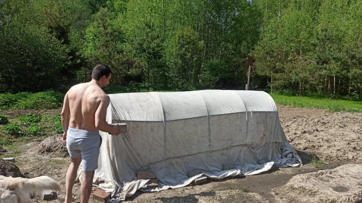 Больше не трачу деньги на химию: муравьи ушли с участка через двое суток после одной пачки манки