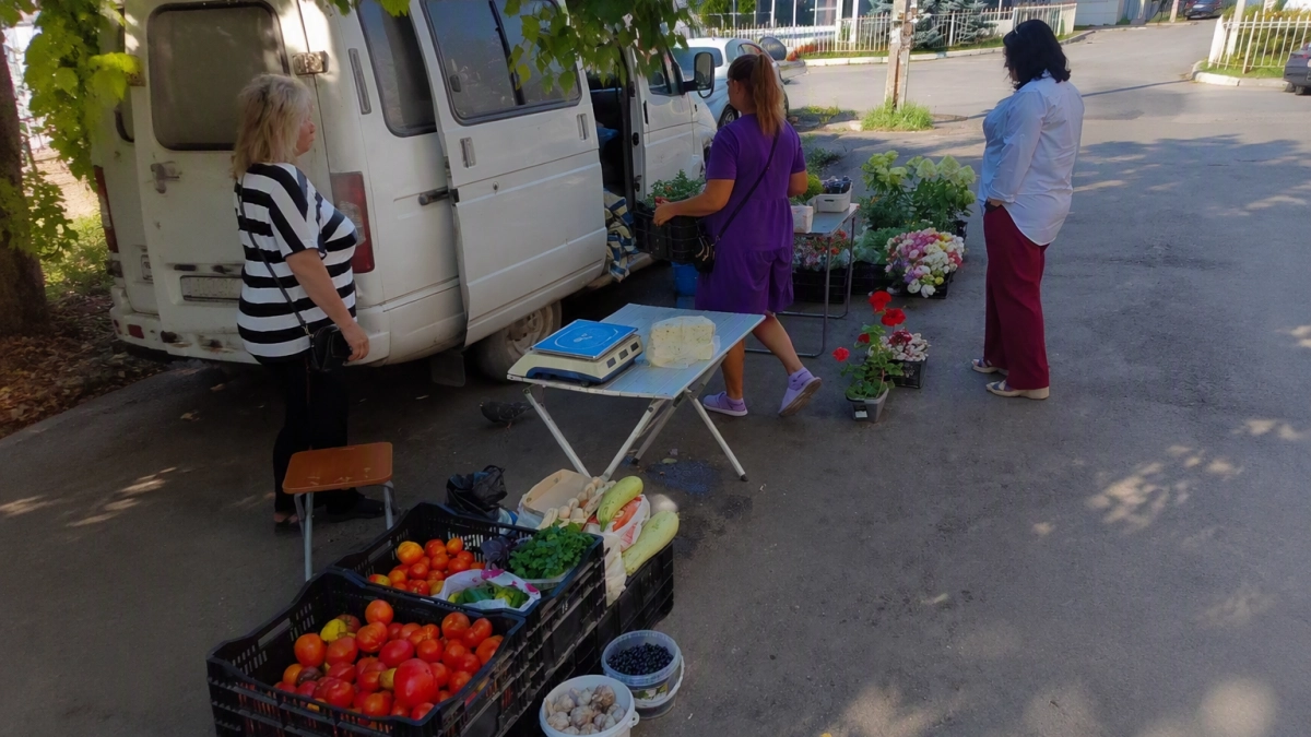 В Курске на 10 адресах пресекли незаконную торговлю продукцией без фитоконтроля
