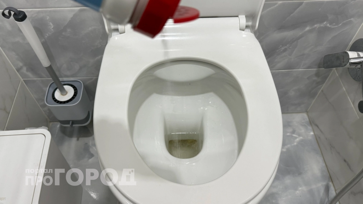 Горничные больше не скрывают правду: просто добавьте пять ложек этого средства на ночь и забудьте о налёте