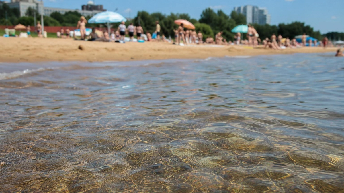 На курских пляжах не нашли патогенных микроорганизмов в воде и нарушений в песке