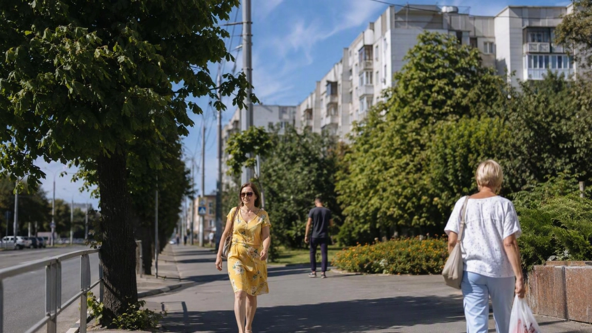 В Курской области 16 августа воздух прогреется до +31 при сухой погоде