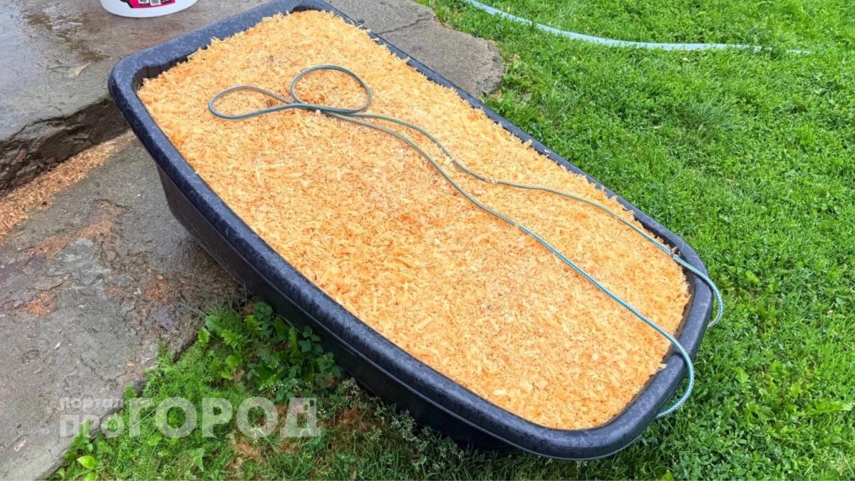 Больше не трачусь на дорогой бетон: мои садовые дорожки стали эталоном для всего СНТ благодаря простому лайфхаку