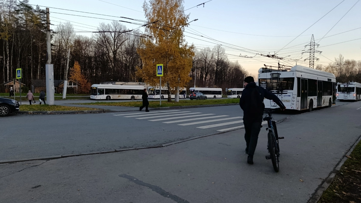 Верховный суд разъяснил правила проезда зебры: когда водитель вправе не тормозить перед пешеходом