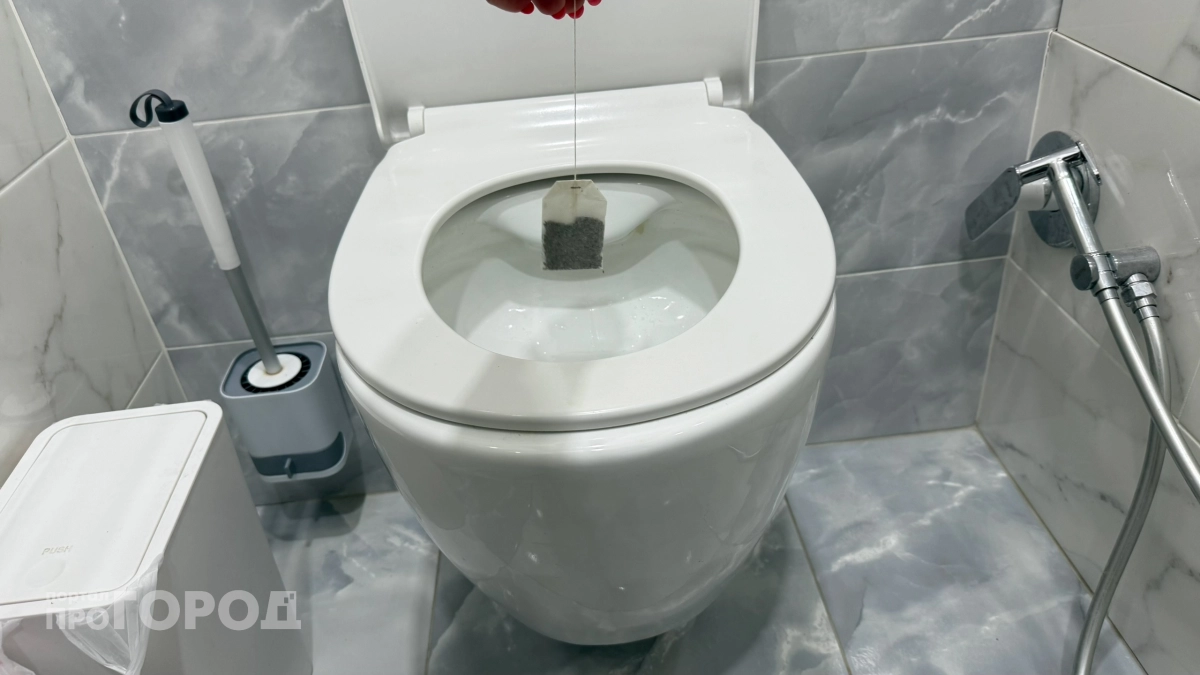 Всегда бросаю использованный чайный пакетик в унитаз перед уходом: простая хитрость для чистоты без химии
