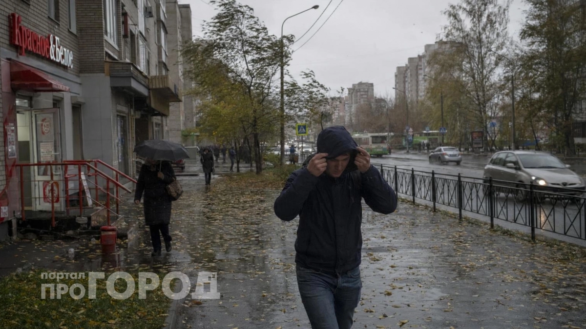 Сентябрь готовит неприятный сюрприз для дачников: как спасти урожай от внезапных заморозков прямо сейчас