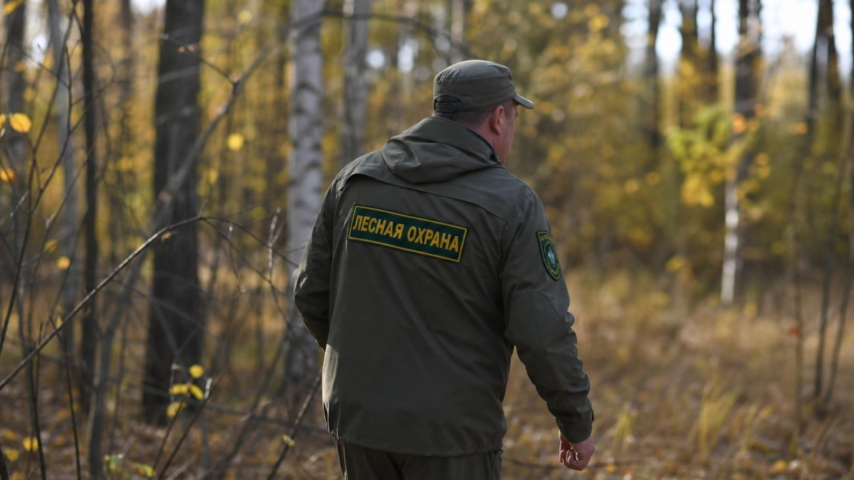 В Курской области охотника с ночным прицелом и глушителем поймали вне сезона