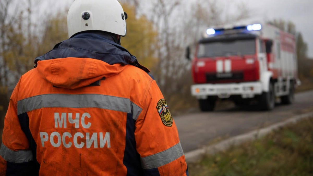 В Курской области за сутки обезвредили 5 боеприпасов и потушили один пожар
