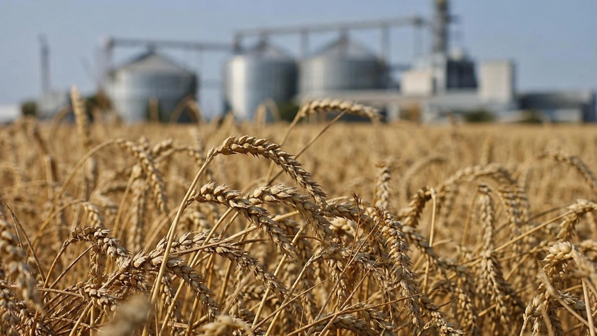 Экспорт продукции АПК Курской области за пять лет вырос втрое