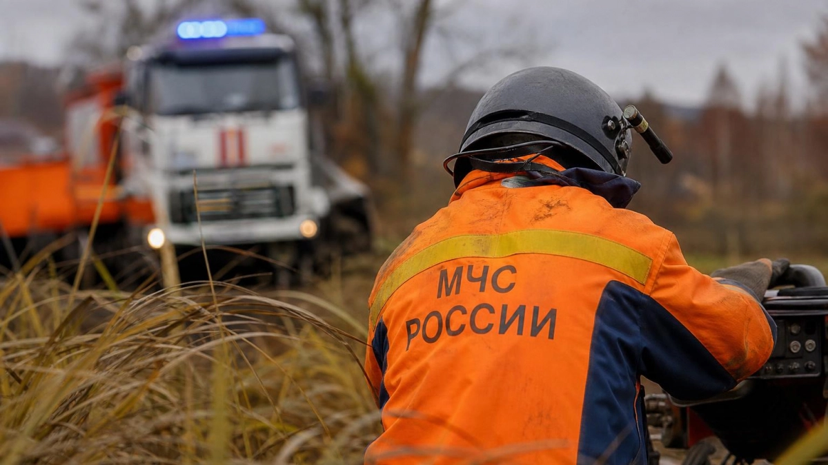 В Курской области за сутки обезвредили 65 взрывоопасных предметов и потушили 5 пожаров