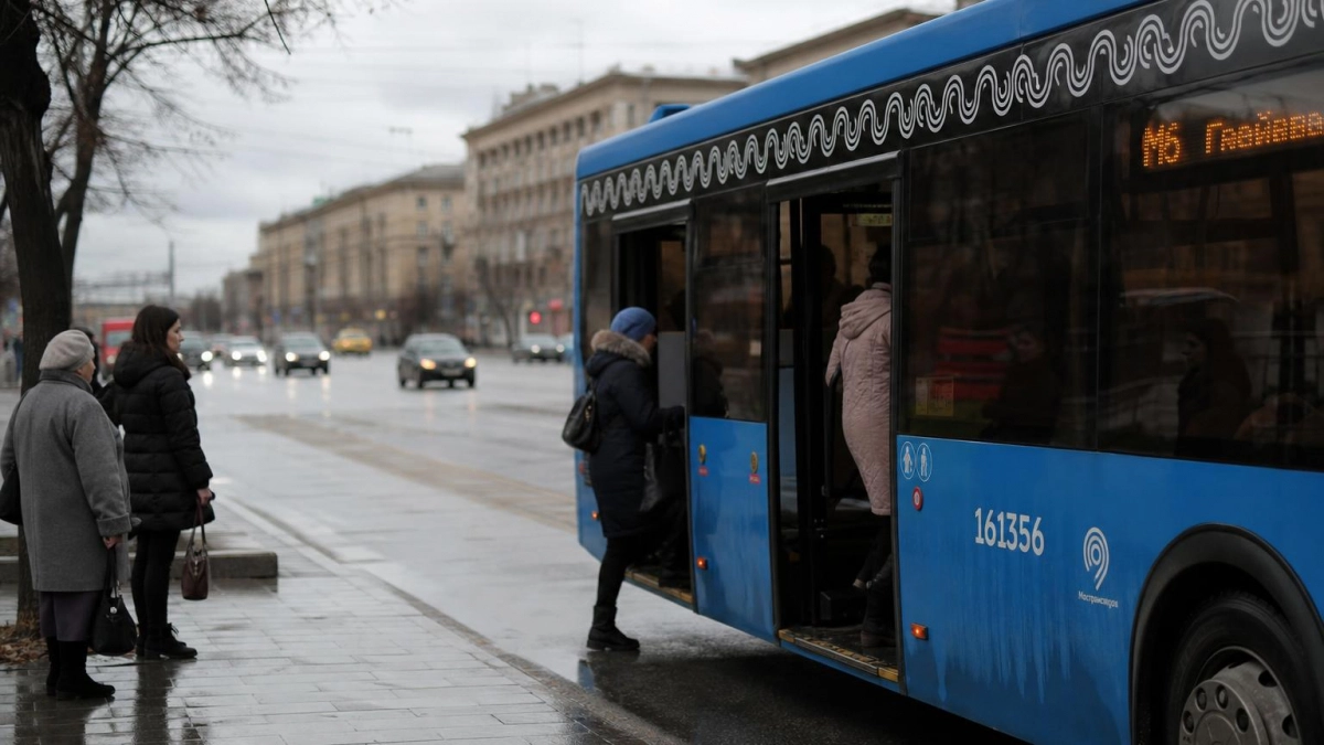 В Курске перевозчика обвинили в мошенничестве с субсидиями на сумму свыше 15 млн
