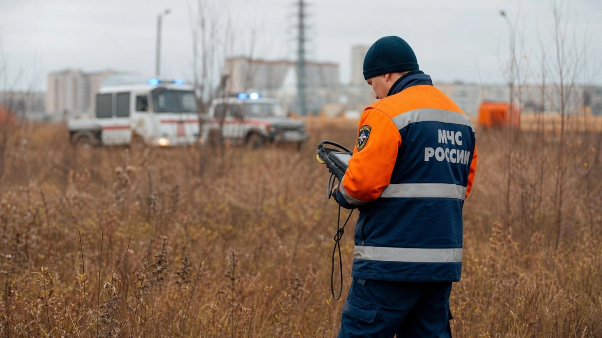 В Курской области саперы МЧС за сутки обезвредили 51 боеприпас
