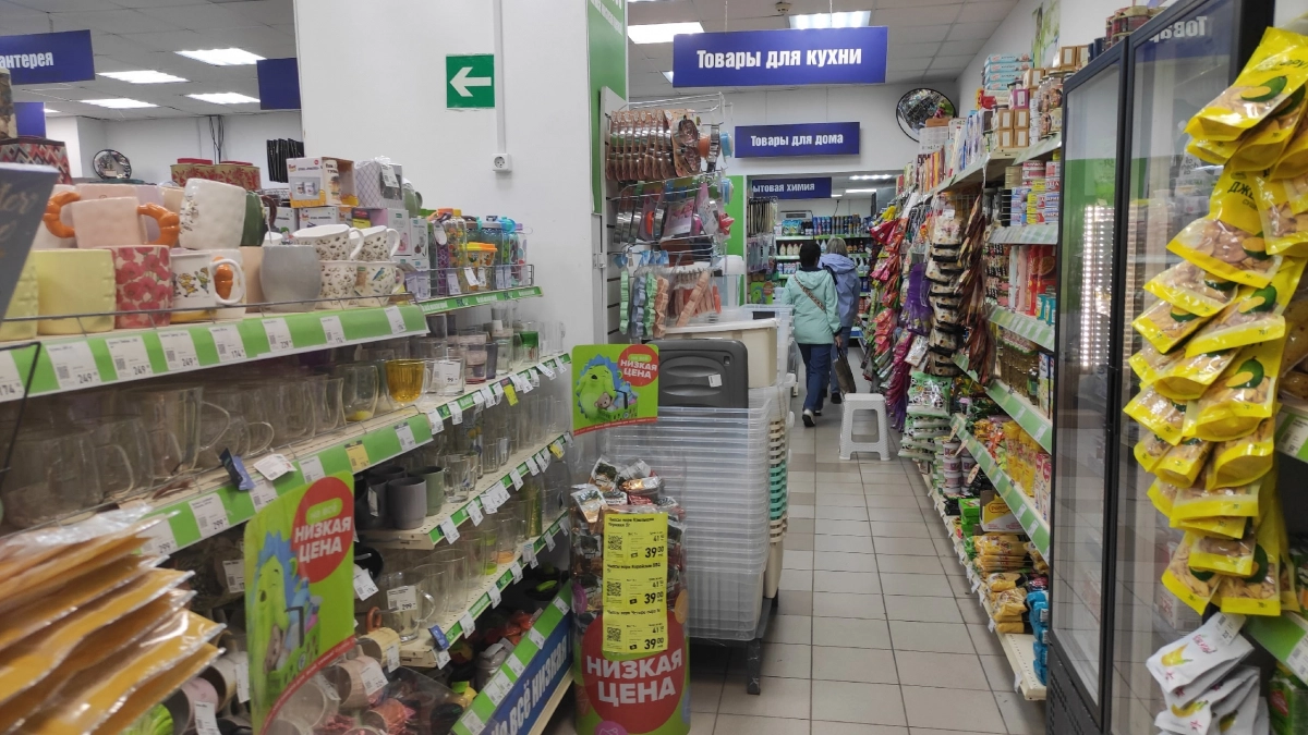 В Fix Price беру ёршики для бутылок десятками: показываю семь мест в доме, где они заменяют любую щетку