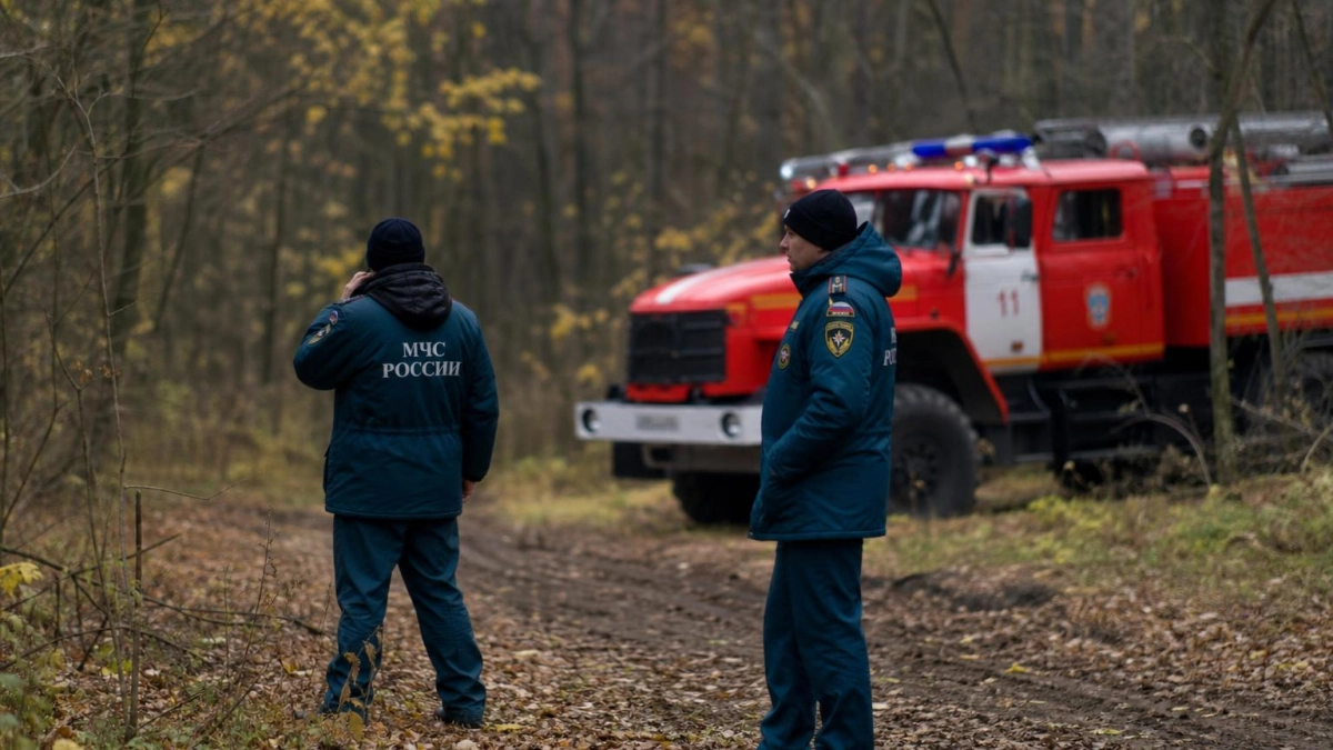 В лесах Курской области закрыли пожароопасный сезон с приходом осенней погоды