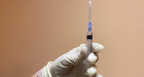 В Курской области сотни людей не получили вакцину от бешенства из-за её отсутствия